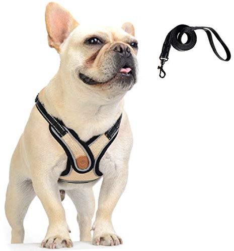 DD Hundegeschirr mit Leine, Einstellbar Hund Weste, Weiches Mesh Katzen Hunde Welpen Geschirr und Leine Set