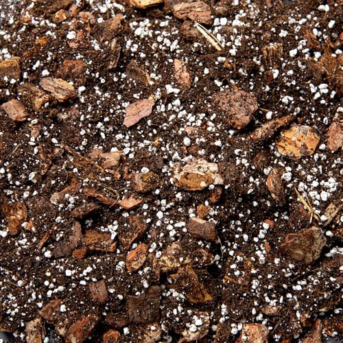 Premium Orchid Potting Mix with Biochar & Coco Coir – Fine Orchid Bark, Perlite & Gentle Organic Feed – Fast Draining Soil for Phalaenopsis & Indoor Orchids (20L)