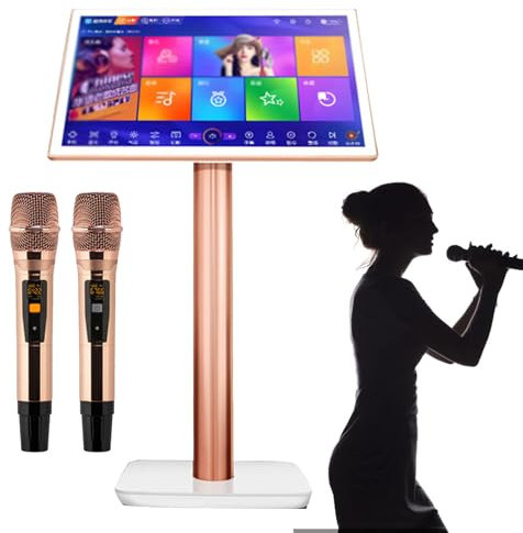 Machine de karaoké portable, lecteur de karaoké professionnel de 19 pouces avec 2 microphones sans fil, 1,1 million de chansons à télécharger dans le cloud et prise en charge multilingue,White-2TB