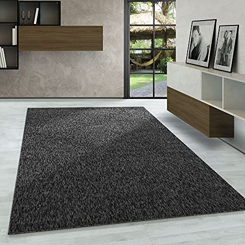 Carpetsale24 Teppich 120x170 cm Anthrazit, Einfarbiger Kurzflor Schlingenteppich für Wohnzimmer, Schlafzimmer oder Essbereich, Modern, weich & pflegeleicht