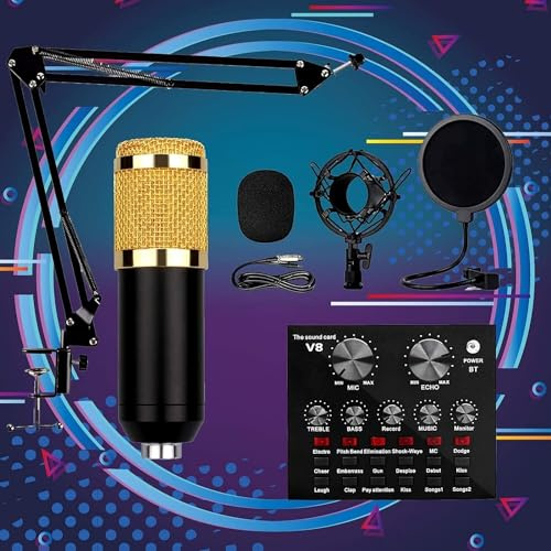 ELzEy Kit microfono a condensatore, braccio di sospensione regolabile for microfono, supporto antiurto in metallo e microfono for voce