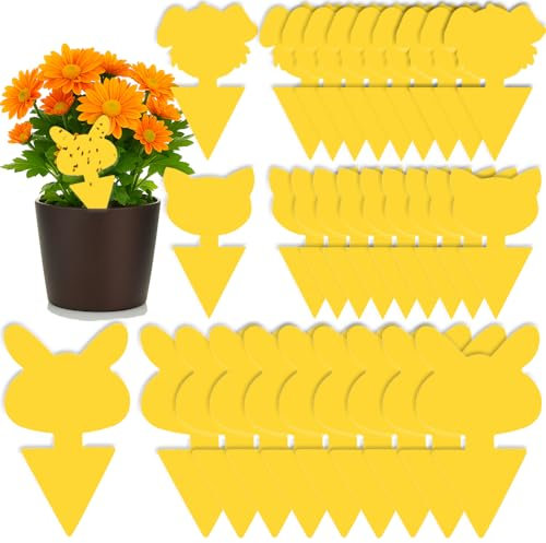 UUNEYX 30 Pcs Fruit Fly Traps,Double-sided Fungus Gnat Killer Yellow Sticky Fly Traps Insect Catcher for Multiple Insects,Indoor Plants (30 Pcs-A)