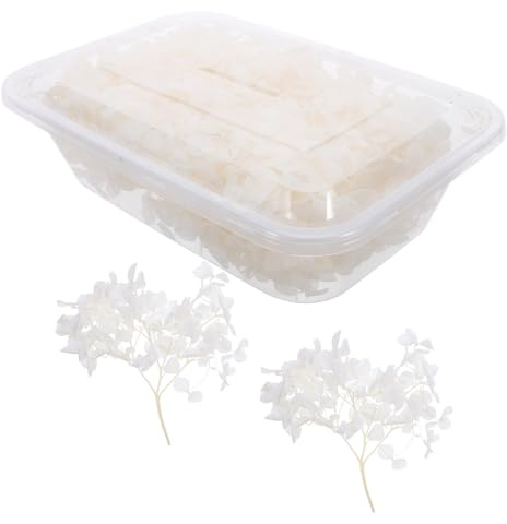 GRIRIW Petali e Festa di Compleanno 20g di Ortensia Secchi Naturali Matrimonio per Decorazioni Eleganti