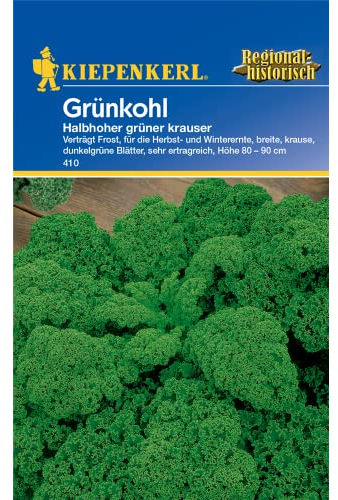 Kiepenkerl Grünkohlsamen Halbhoher grüner krauser 410 - Verträgt Frost, für die Herbst- und Winterernte - Gemüsesamen - Kohl Samen - Samen Gemüse - Saatgut