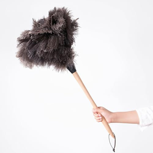 Ostrich Feather Duster, Household Dust Removal Tool with Wooden Handle, Quality Genuine Ostrich Feather Duster. (long (22.4 inch))