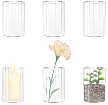 Sahallo kleine Vasen 6 Stück für tischdeko Glaszylinder mini Blumenvase Gestreift 10 cm kleine Glasvase Set für Blumen als Tischdekoration Gastgeschenke Hochzeitsdekoration (10 cm Vasen Set)