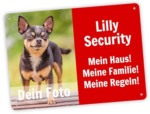 Hundeschild mit eigenem Foto & Namen „Security“ - 28 x 20 cm - Lustiges Vorsicht Hund Warnung Schild - wetterfest & rostfrei & Bohrlöcher - Warnschild Hund - Aluminium, Stärke 0,5 mm