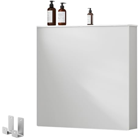 Meuble Radiateur en Bois et Plastique pour La Maison, Boîtier a 3 Côtés, Cache Radiateur avec Séparateurs de Rangement, pour Salon et Couloir(50 * 60 * 20cm/20 * 24 * 8in)