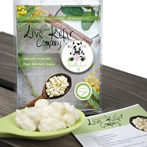 Lebendmilch-Kefir-Körner – unsere Kefir-Körner sind von höchster Qualität.