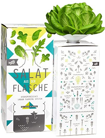 Dresden Onlineshop Bottlecrop Salat aus der Flasche | Anzuchtsystem Urban Farming Set für zu Hause (Grüner Blattsalat, Starterset)