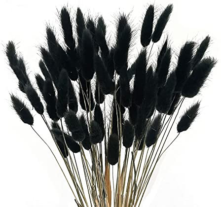 JKDHJK 50 Stück Pampasgras Schwarz - 40cm Natürliche Getrocknete Kaninchenschwanzgras Trockenblumen Deko für DIY Vase, Boho Wohnzimmer, Hochzeit & Tischdeko