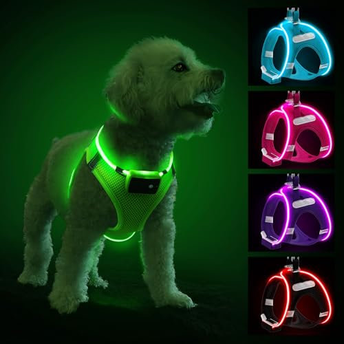 Light Up Dog Harness, Reflective LED Dog Harness Rechargeable, Waterproof Flashing Light Up Harness Light for Small Puppy Medium Dogs with 3 Glowing Modes for Night Walking, Green-S