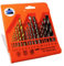 BOYMA -16 PZ-Set Di Punte Miste-6 Punte Per Metallo Di Cobalto-5 Punte Da Parete - Punte Per Calcestruzzo-5 Punte Per Legno-Kit Di Punte Combinate-set di punte da trapano