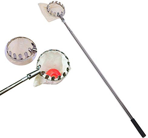 courti Obstpflücker Mit Teleskopstiel, 1.5m Apfelpflücker Obstsammler, Metallpflückkopf Obstfänger, Obstpflückwerkzeug Für Birne, Apfel, Mango, Granatapfel
