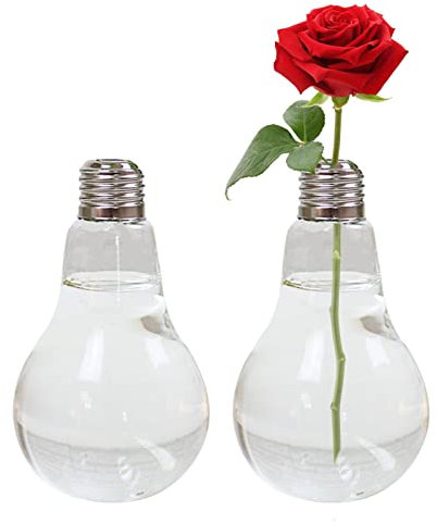 Raxove Hydrokultur-Pflanzvase – Luftpflanzen-Glas-Pflanzgefäß – Glasvasenregal für den Innenbereich, Hydrokultur-Blumen, Pflanzgefäß für Gartenarbeit