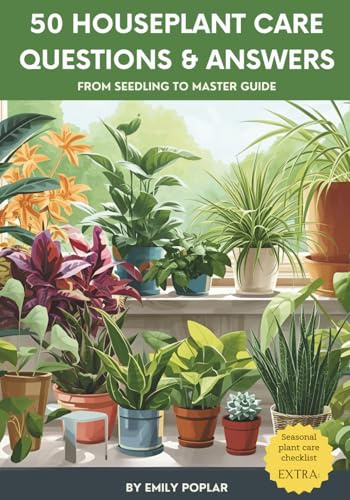 50 Houseplant Care Questions & Answers: From Seedling To Master Guide