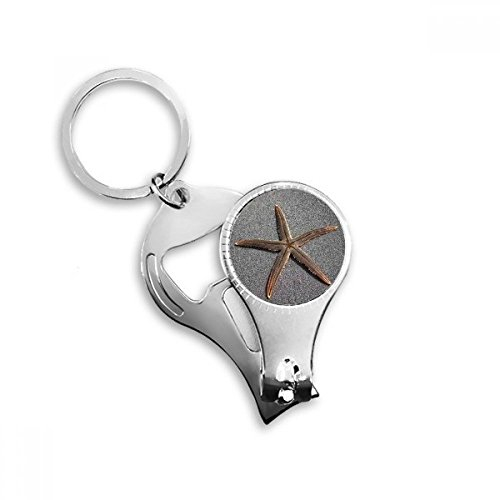 Gris mural étoile de mer Science Nature Photo Porte-clés en métal Bague multifonction Pince à ongles Décapsuleur de voiture Keychain Meilleur Cadeau de Charm