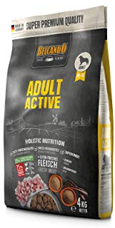 Belcando Adult Active [4 kg] Hundefutter | Trockenfutter für aktive Hunde & Sporthunde | Alleinfuttermittel für ausgewachsene Hunde ab 1 Jahr