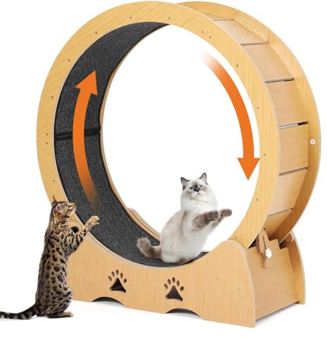 Katzenlaufrad Extra Groß 100 cm, Ultraleises Laufrad Katze mit Teppichmatte, Spielzeug-Set & Sicherheitsverriegelung, Stabil für Alle Katzenrassen