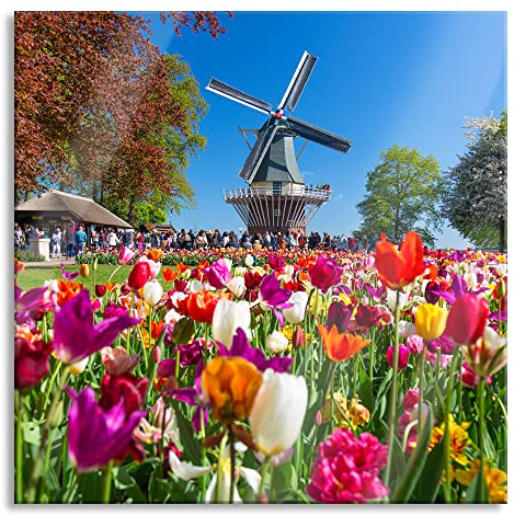 Pixxprint Glasbild, Wandbild auf Echtglas, Holländisches Tulpenmeer vor Windmühle, 50x50 cm, inkl. Aufhängung und Abstandshalter