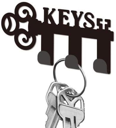 DELORIGIN Key Holder for Wall, Mini Black Iron Key Hooks Wall Mounted Keys Word Key Rack with 3 Hooks, Small Key Hangers House Key Holder for Keys Bag Dog Leash Storage Wall Decorative Entryway