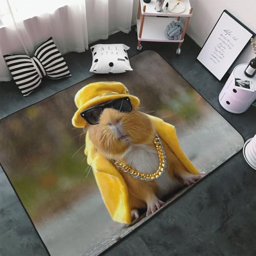 Alfombras de estilo de conejillo de indias de metal pesado para sala de estar y dormitorio, lavable, suave, alfombra antideslizante de 3 x 5 pies, alfombra para interiores, decoración estética de