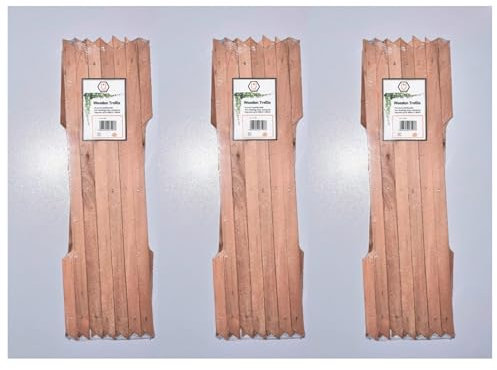 Kanta Wooden Trellis Expandable Garden Wall Trellis For Climbing Plants Decoration & Plants Partitioning (Pack Of 3) (Brown, 180cm x 30cm)