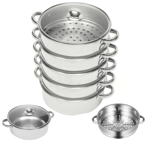 DAOHHFO 26 CM/10 Zoll Edelstahl Dampfgarer, Dampfgarer für Kochen, Suppe, Nudeln, Fische mit Glasdeckel 5 Etagen Dampfgarers Arbeiten mit Gas-Elektrogrill