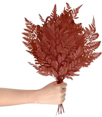 M METERXITY 10 Stück Farn, 15 Natürliche getrocknete Grünpflanzen mit Stielen für Hochzeitsgirlandensträuße / Heimparty / DIY-Handwerksdekorationen, getrocknete Pflanzen [Weinrot]