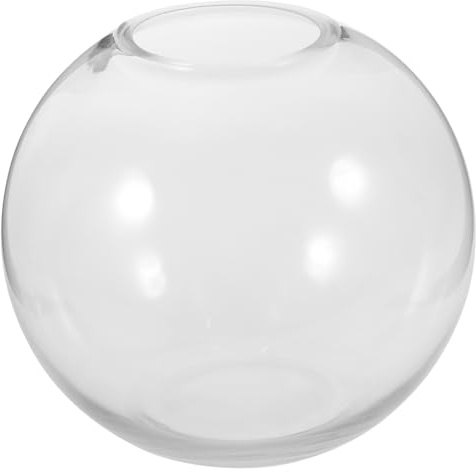 Hemobllo Terrarium Rond pour Plantes Aquatiques Vase Écologique Transparent pour Bureau et Décoration Intérieure Bouteille Vide pour Micro Paysage Accessoire Polyvalent pour Plantes