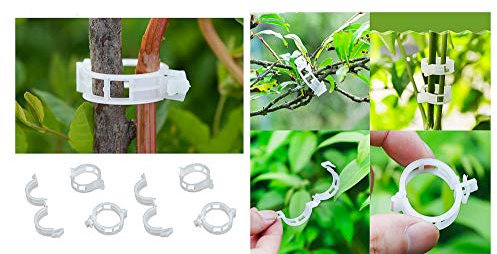 Eva Shop® 50x Premium Pflanzenclips Pflanzenklammer Pflanzenringe Binder Halter Pflanzenbinder für Tomaten Gurken Rosen Clematis und andere rankende Pflanzen - Versand aus BRD