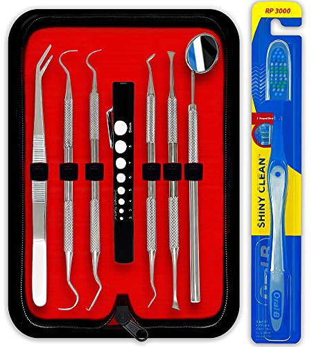 DEXA DENTAL Professional Dental Hygiene Kit - Stainless Steel Tartar Remover, Tooth Scraper, Pick Scaler, Penlight, Toothbrush, and Case