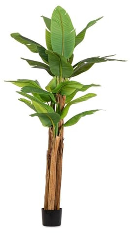 Decor Space Pianta artificiale Banano con vaso nero, foglie in gomma, realistica (240 cm - 22 foglie)