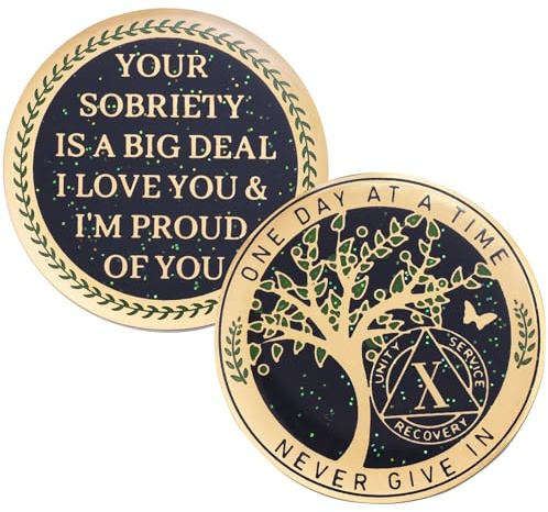 LParkin 24 horas, chip de sobriedad de 1/2 año, moneda de recuperación del árbol de la vida, medallón de recuperación AA, regalos de sobriedad de token de aniversario, medallón anónimo de alcohólicos