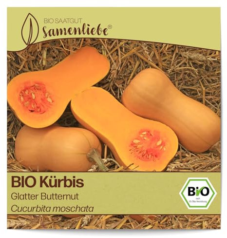 Samenliebe BIO Kürbis Samen Glatter Butternut 10 Samen samenfestes Gemüse Saatgut für Gewächshaus und Freiland BIO Gemüsesamen