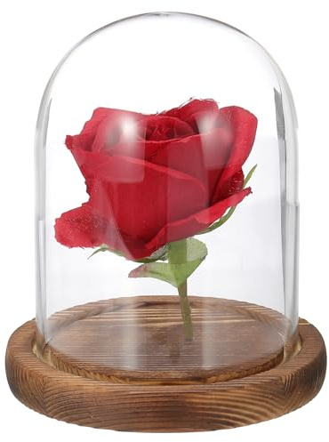 sourcing map Glass Cloche Display Dome, 4.7 x 3.5 Glass Dome Display Case Wood Base Tabletop Jar Case Decorative Bell Jar for Plant Home Decor Office Wedding Party, Wood