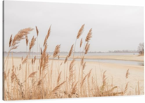 HUBDECO Leinwand Bilder Wohnzimmer - Bilder, Poster, Kunstdrucke - Leinwandbild - Bild auf Leinwand - Tolle Zimmerdekoration - Schlafzimmer Bilder - 120x80cm - Boho Gräser Landschaft Natur