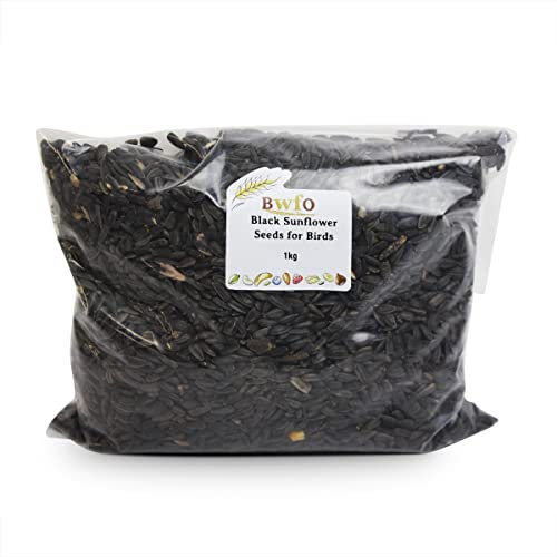 Black Sunflower Seeds for Birds 1kg (BWFO)
