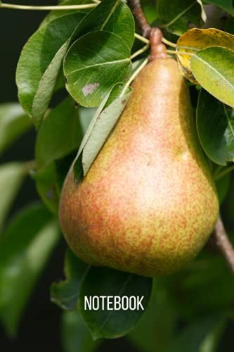 Pear Tree Notebook: blank lined composition journal | Pear Tree notebook | 100 pages
