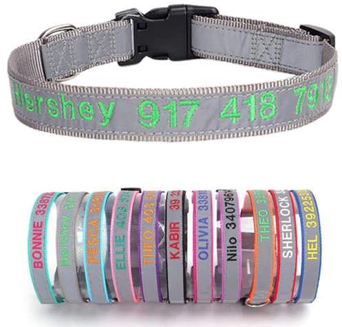 Reflektierend Hundehalsband Nylon mit Personalisiert Gesticktem Namen und Telefonnummer Verstellbar Halsband Passend für Große Mittlere Kleine Hunde Welpe