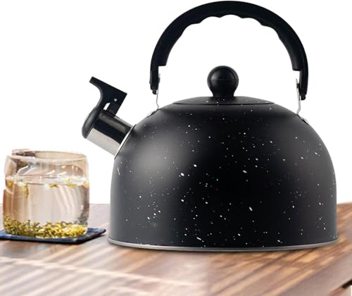 Bouilloire sifflante en acier inoxydable de 2,5 l - Avec poignée confortable - Pour plaques à induction et fours électriques