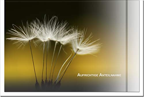 metALUm Trauerkarte ABSCHIED | Pusteblume 3300041