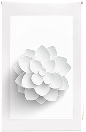 Blindecor Flores | Estor Enrollable Translúcido con Estampado Impresión Digital | Modelo Flower | 110 x 180 cm (ancho por alto) Tamaño de la Tela 107 x 175 cm | Estores para Ventanas