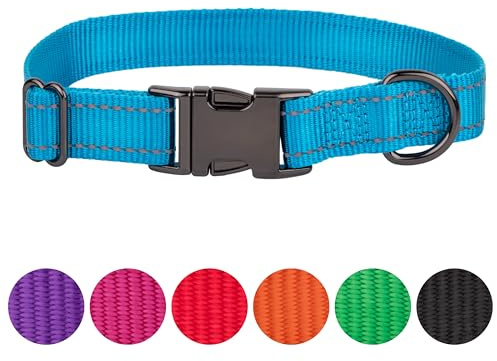 FAVPET Nylonhalsband för hundar – hundhalsband för valpar små, medelstora och stora hundar – hundhalsband med robust metallstängning – reflekterande halsband för hundar (blå, M)