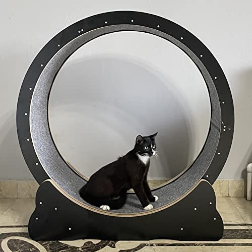 Katzenlaufrad Leises Katzenrad-Übungslaufband, schwarzes Kätzchen, großes Cet-Laufbandrad mit Bremse, Teppichlaufbahn, Katzenspielzeug für den Innenbereich 80/90/100 cm (Größe: M-Innendurchm