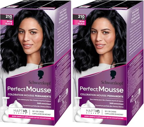 Schwarzkopf - Perfect Mousse - Coloration Cheveux - Mousse Permanente sans Ammoniaque - Masque Soin 96% d'ingrédients d'origine naturelle - Noir Glacé 210 (Lot de 2)