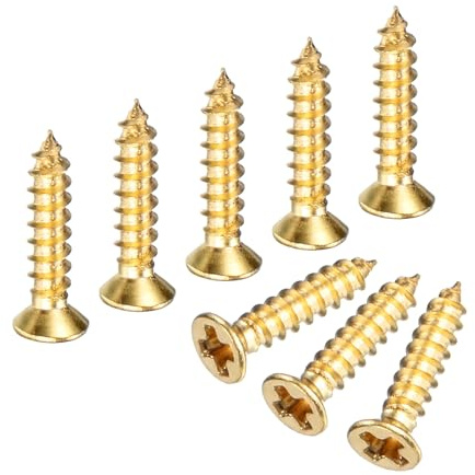 M METERXITY 100-Pack Brass Wood Screws M2x10mm