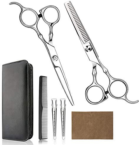Himart Professional Hair Cutting Scissors Set for Home, Barber Salon, Thinning Scissors Set with Comb and Case for Men/Women (Silver)