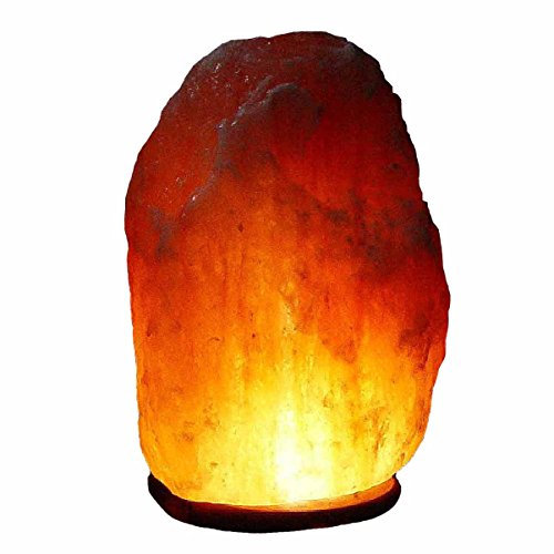 BOSALLA Salz Lampe von 2 kg bis 26 kg frei wählbar Kristall Lampen Salt Range Pakistan mit Spezial Leuchtmittel und Kabel in 250 cm WEIß (4-6 kg)