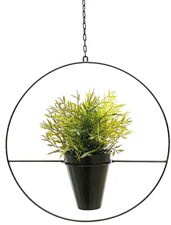 DanDiBo Blumenampel Innen Metall Wand Schwarz Matt Hängepflanzen Ø 40 cm KW446 mit Topf Pflanzenhänger Blumenhänger Topfhänger Blumen Blumentopfhänger Hängetopf